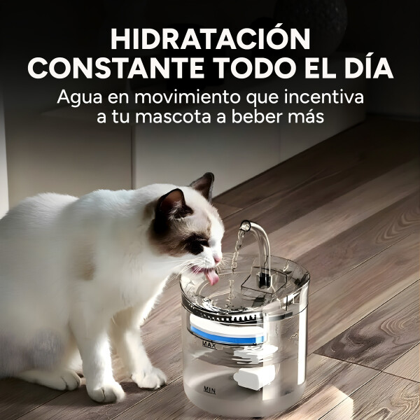 Fuente De Agua Bebedero Para Mascotas 2 Litros Recirculación Variante Transparente
