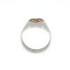 Anillo Profesión Ingeniero agrónomo-Plata y Oro-Sin Piedra-AP5009 sinpiedra