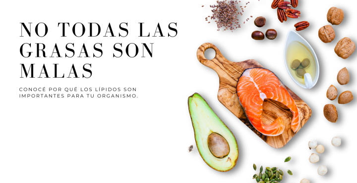 Lípidos: tipos de grasas y cuáles priorizar