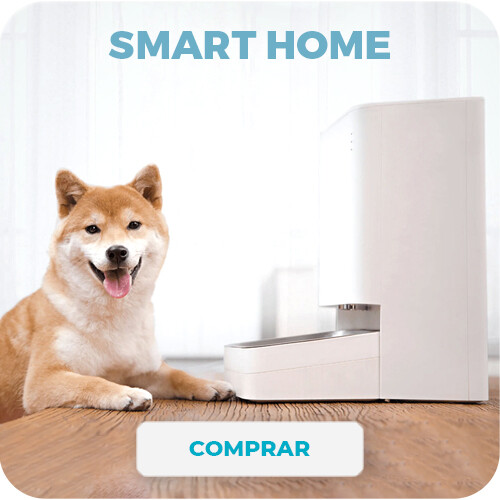 Smart Home