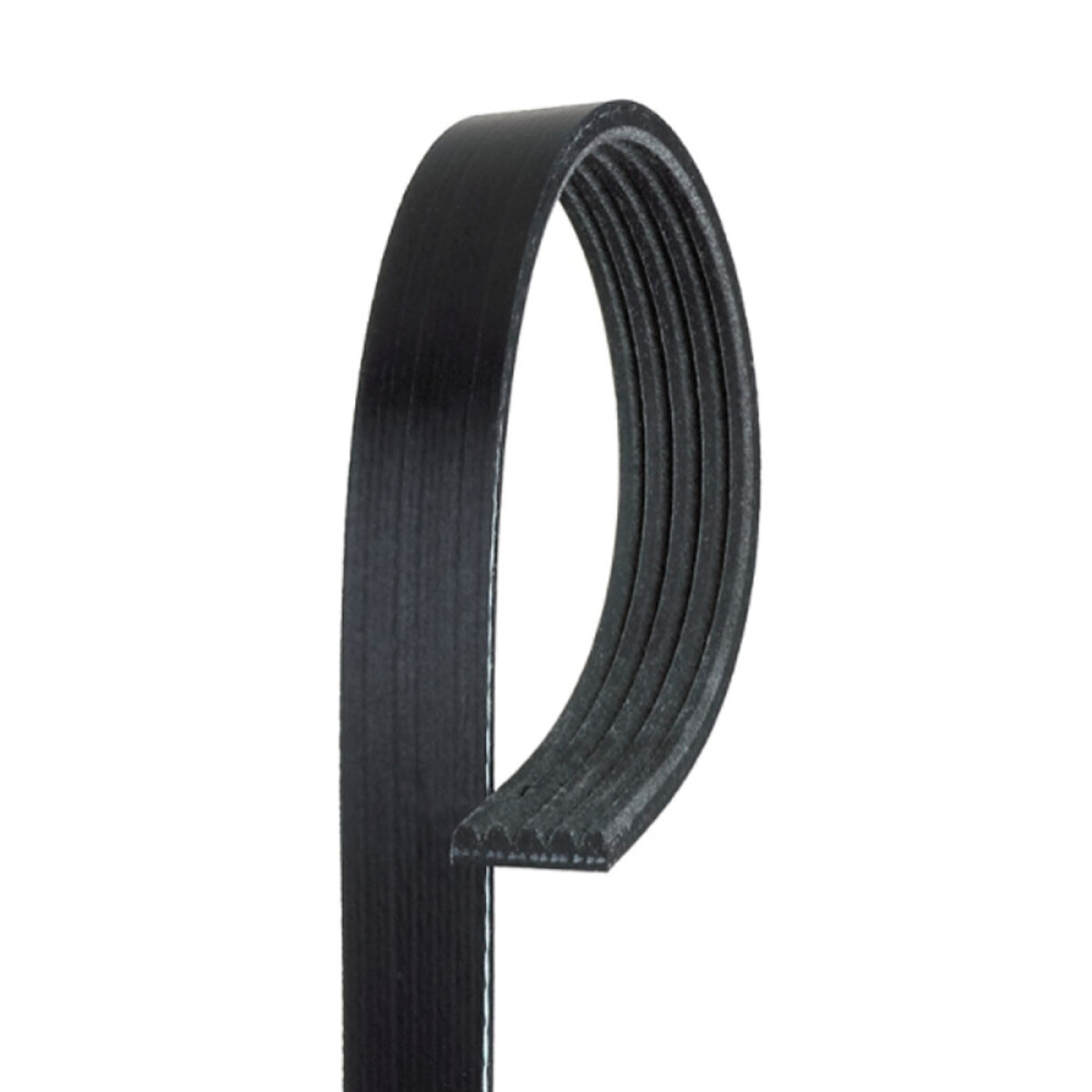 CORREA ALTERNADOR - AIRE ACONDICIONAD FOTON MIDI GATES 