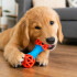 Juguete Morder Perros Gatos Limpieza Dental Golosinas Premio Color Celeste Naranja