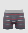 Boxer dublin de microfibra Gris