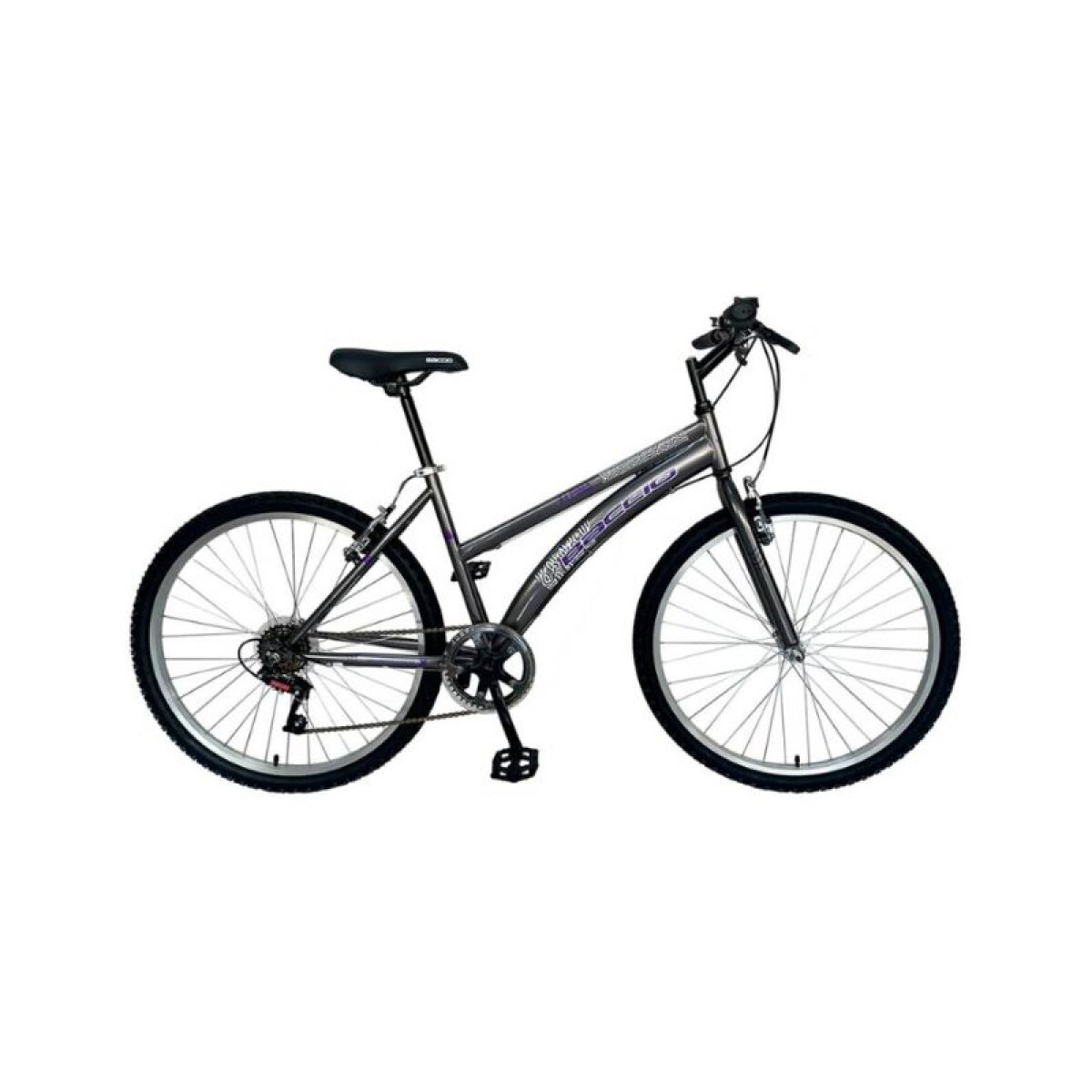 Bicicleta ALPINA LADY - Rodado 24 - Baccio - Gris 