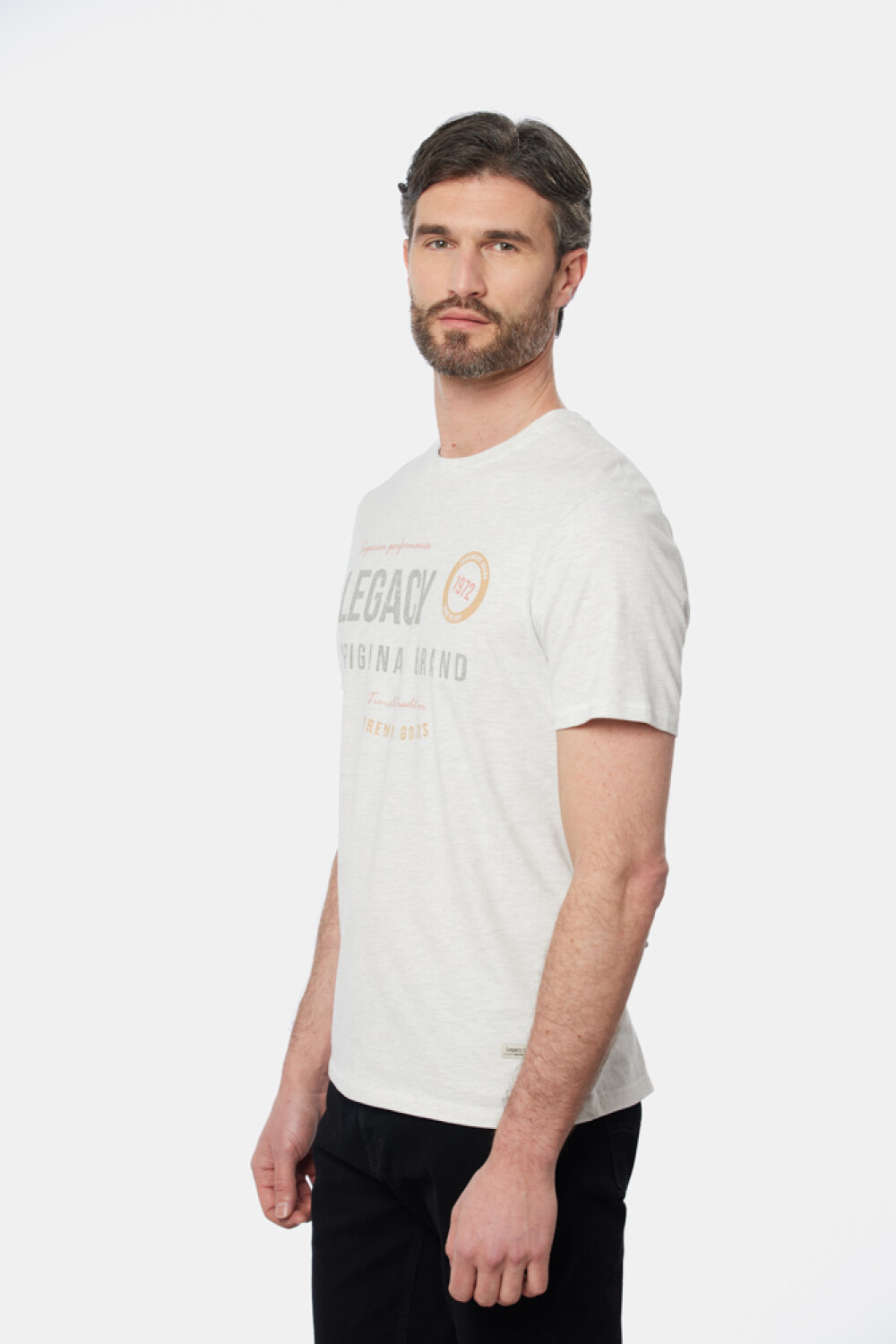REMERA ESTAMPADA Gris