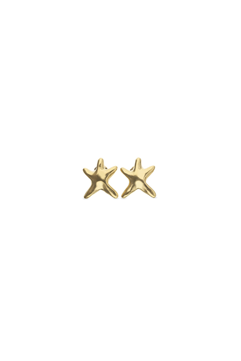 STAR - Pendiente 