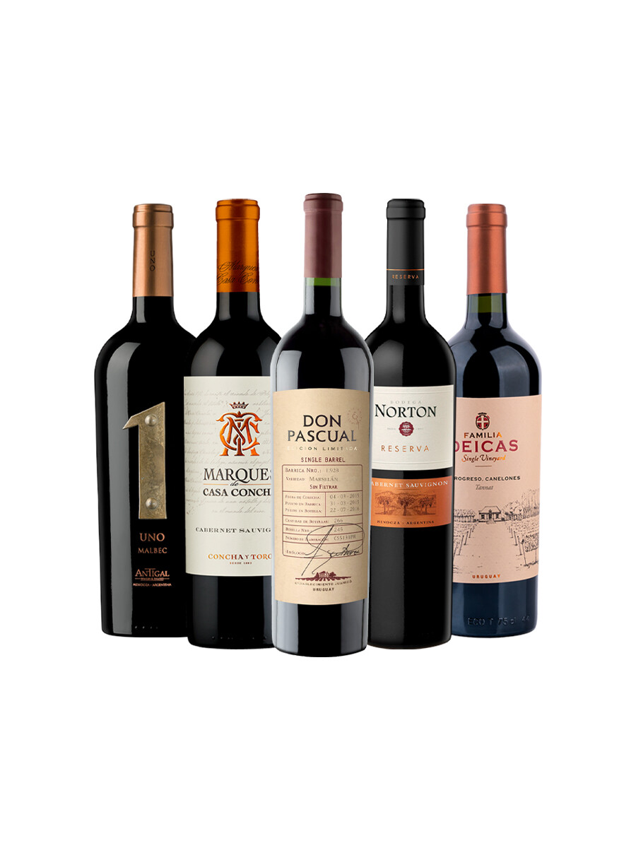 Pack Selección Expresiones del vino x5 vinos Carácter e Intensidad Pack Selección Expresiones del vino x5 vinos Carácter e Intensidad
