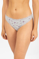 Colaless flower stripe Gris