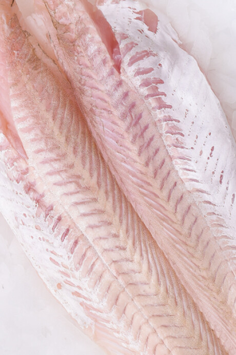 Filete de Merluza Fresca 500g