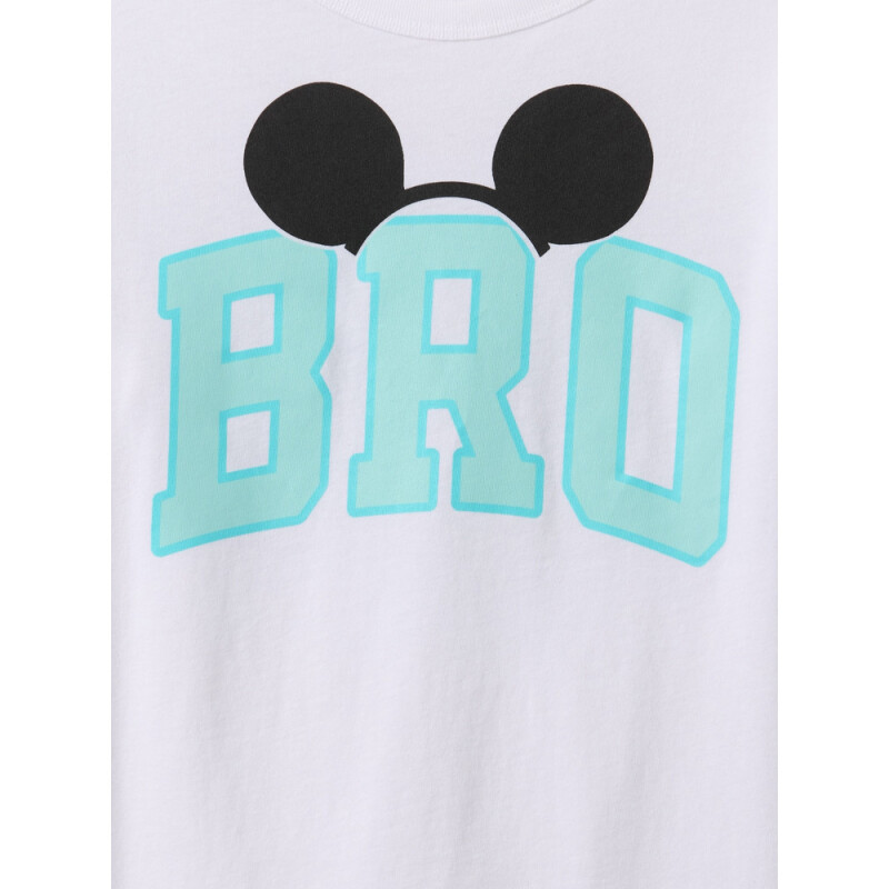 V-DIS FAM SPR SS GR WHITE000