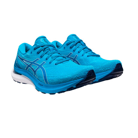 Championes Asics Gel-Kayano 29 Blue