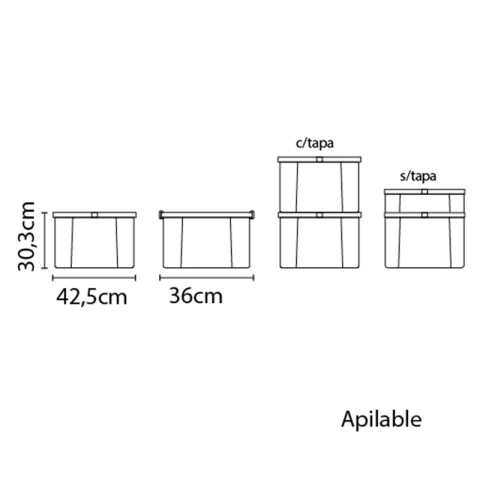 Caja organizadora en ppl transparente 30 litros TD0113