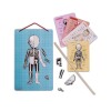 Juego didáctico y de aprendizaje magnético cuerpo humano Juego didáctico y de aprendizaje magnético cuerpo humano