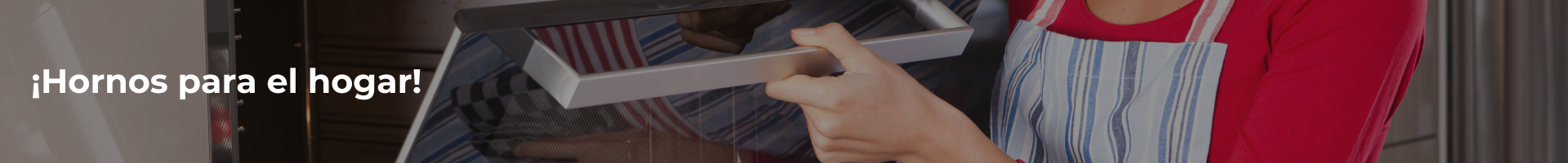 Hornos para el hogar