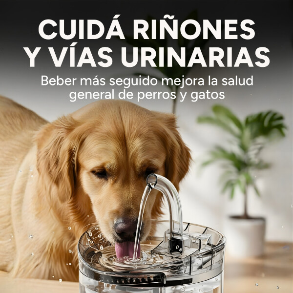 Fuente De Agua Bebedero Para Mascotas 2 Litros Recirculación Variante Transparente