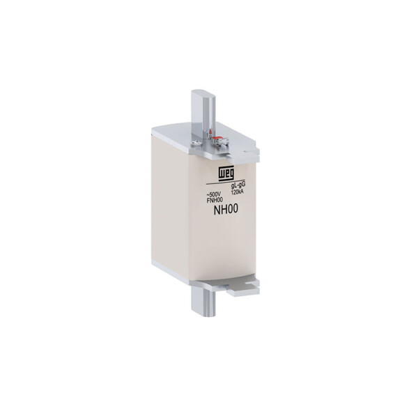 Fusible NH-00 80A GG WE9409