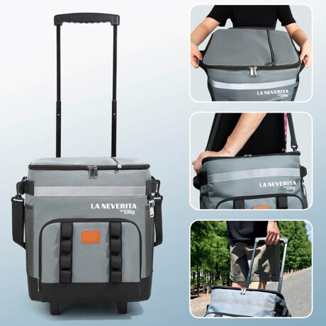 Conservadora Térmica 35l La Neverita Heladerita Carro Gris