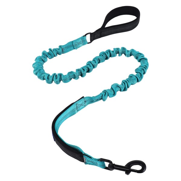 Correa Paseo Perro Elástico Doble Agarre Anti tirones 180cm Variante Color Celeste