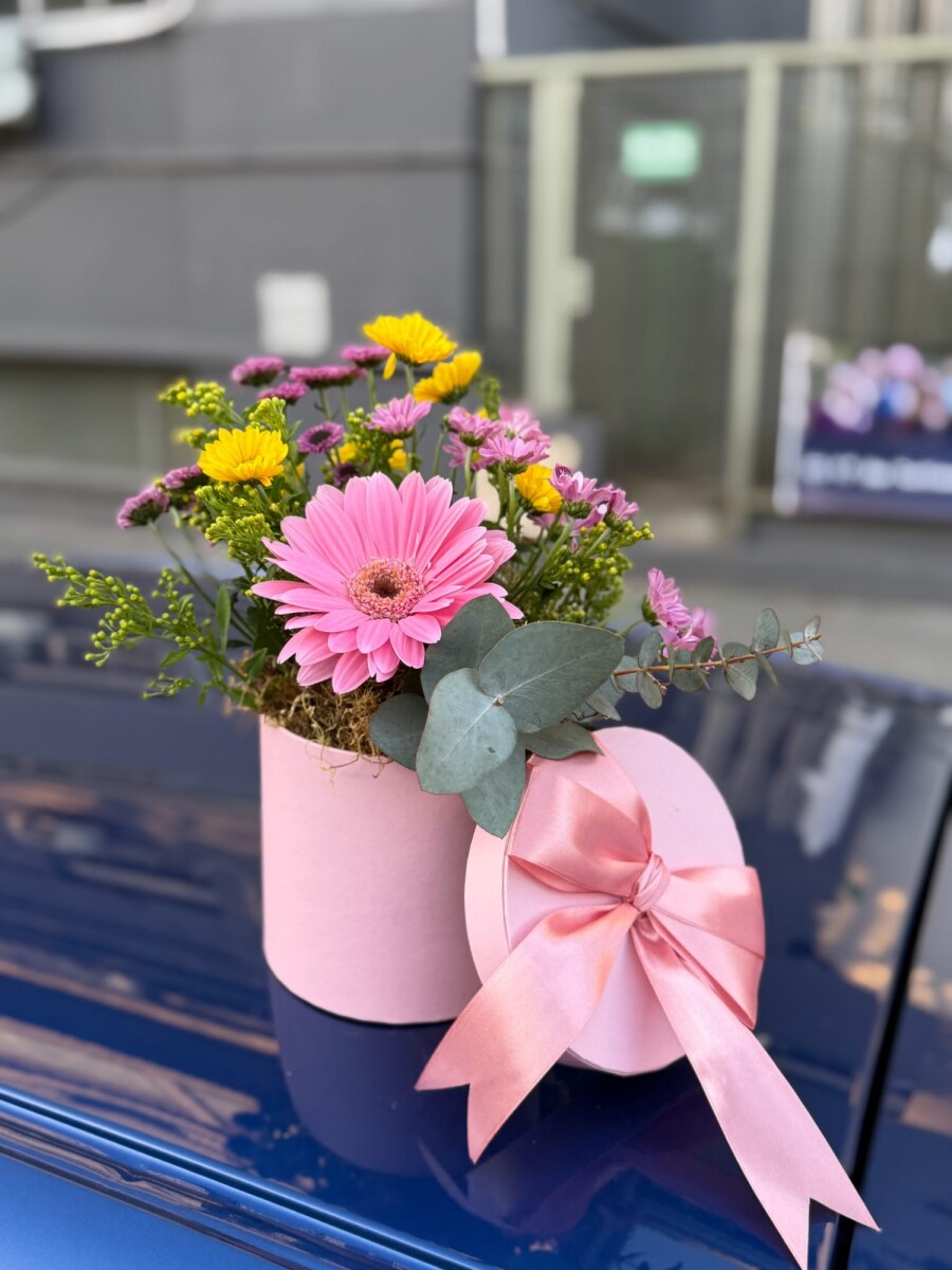 Box Primavera Pink 