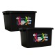Set x2 Caja organizadora 30lts NEGRO