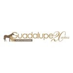 VETERINARIA GUADALUPE