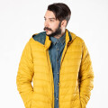 CAMPERA GRAFFOE DIXIE Amarillo