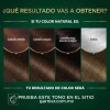 Tinta Garnier Nutrisse Cor Intensa No. 5.0 Castaño Claro Tinta Garnier Nutrisse Cor Intensa No. 5.0 Castaño Claro