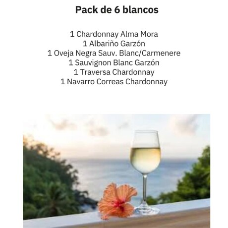 Pack de 6 Blancos Pack de 6 Blancos