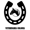 Veterinaria Colonia