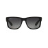 RB 4165/55 col 6222V polarized Rb 4165/55 Col 6222v Polarized