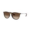 Ray Ban Rb4171 865/13
