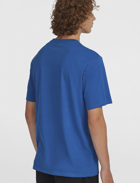 Remera O'Neill Cali Logo Azul