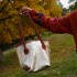Medium Winter Bag Champagne