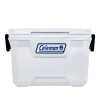Conservadora Coleman Marine 49 Lts Conservadora Coleman Marine 49 Lts