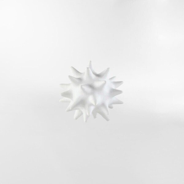 DECORACION SPINE Blanco - Small
