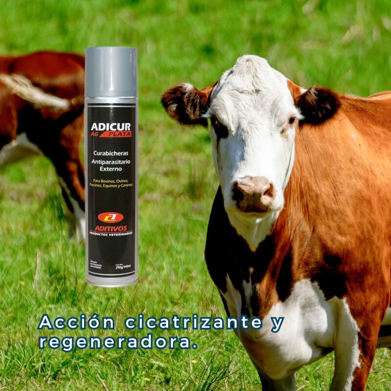 CURABICHERA ADICUR AG PLATA CURABICHERA ADICUR AG PLATA