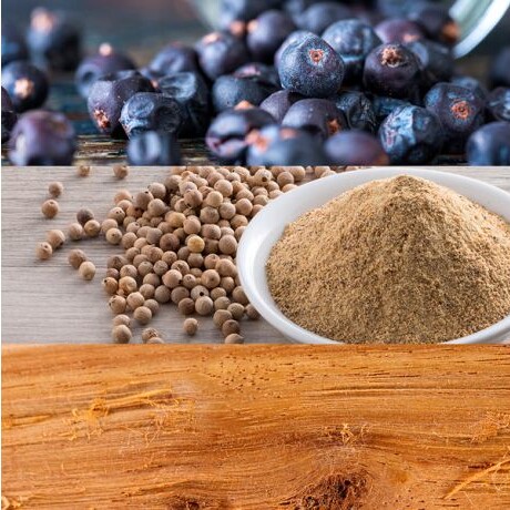 Perfume Calvin Klein Be EDT 200 ml | Fragancia Unisex Suave y Duradera Perfume Calvin Klein Be EDT 200 ml | Fragancia Unisex Suave y Duradera