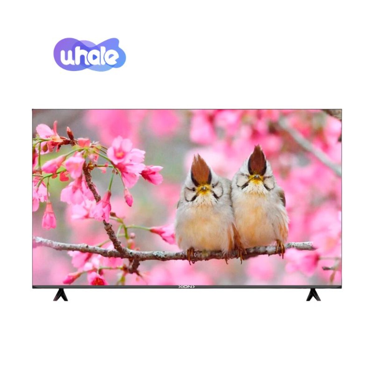 SMART TV XION 70" 