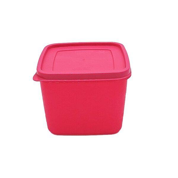 RECIPIENTE PARA FREEZER ALASKA FRESHLIFE 1,0L SURTIDO RECIPIENTE PARA FREEZER ALASKA FRESHLIFE 1,0L SURTIDO