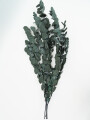 Deco Floral Eucalipto Color Unico