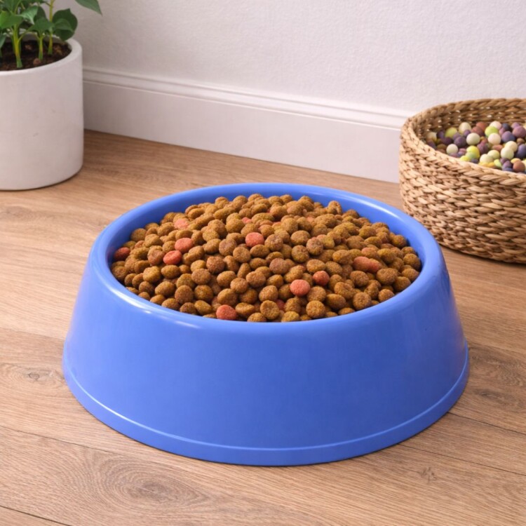 PLATO COMEDOR GRANDE 23CM PLATO COMEDOR GRANDE 23CM