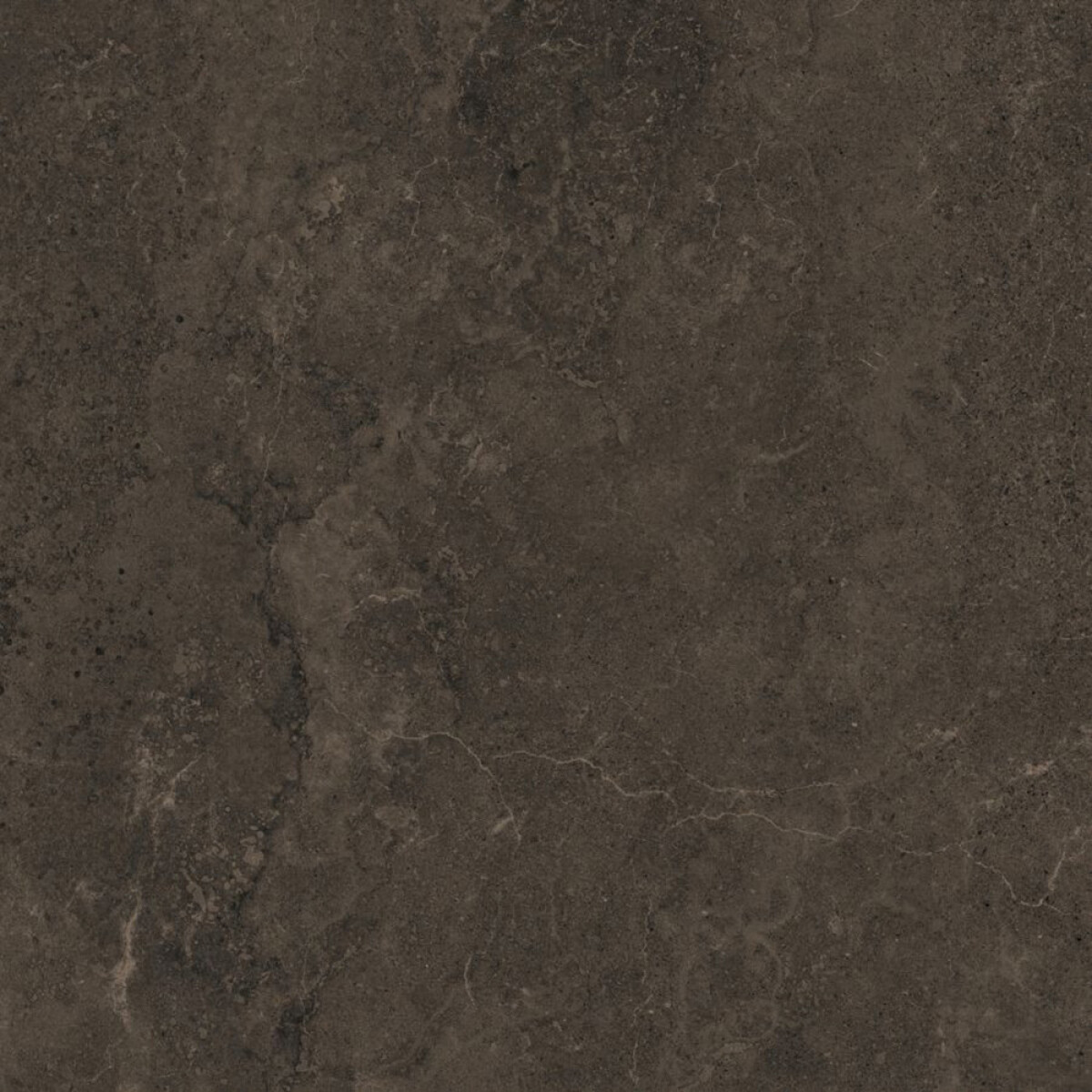 Cerámica Braganca Dark Gr Rectificado "a" 83x83 Cm 