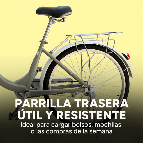 Bicicleta BDF Paseo Urbana Rodado 26 " Canasto Freno V-Brake Gris 1