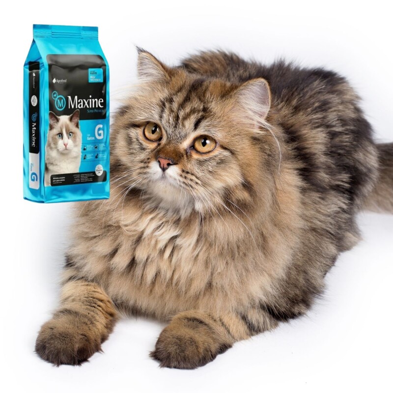 MAXINE GATOS ADULTOS 21 KG