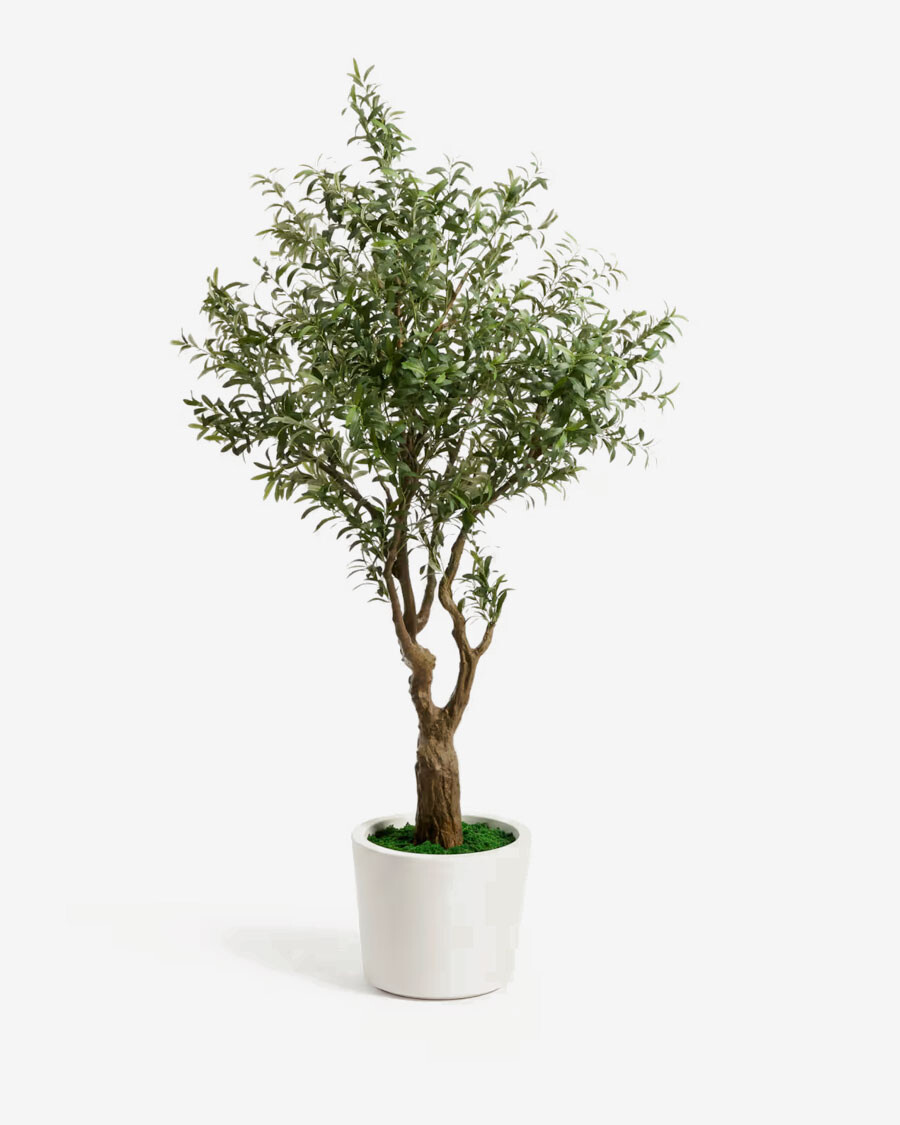 Árbol artificial Olivo con macetero blanco 250 cm. Árbol artificial Olivo con macetero blanco 250 cm.