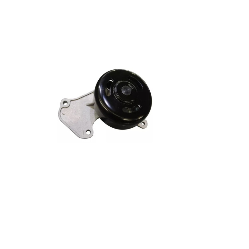 BOMBA DE AGUA RENAULT KWID Bomba De Agua Renault Kwid