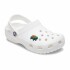 Jibbitz Pet Turtle Multicolor