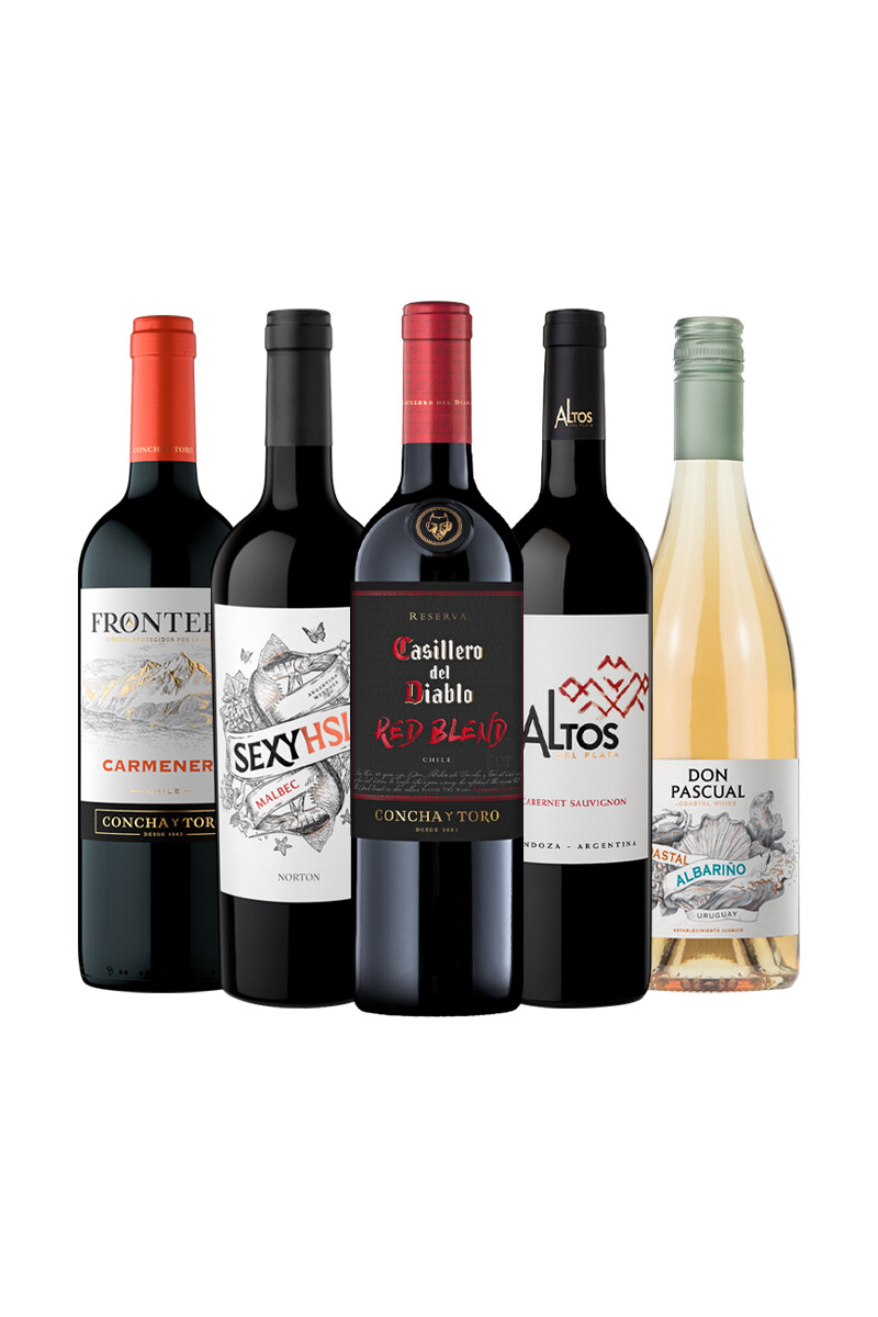 Pack Bacán Selección Orgullo Mundialista x5 vinos 