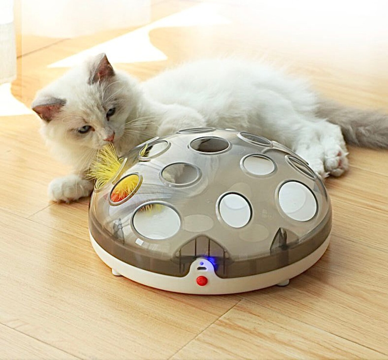 Juguete Eléctrico Interactivo Para Gato Recargable Magnético Pluma 