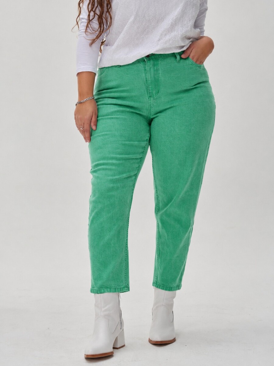 Jean Arcoiris Verde